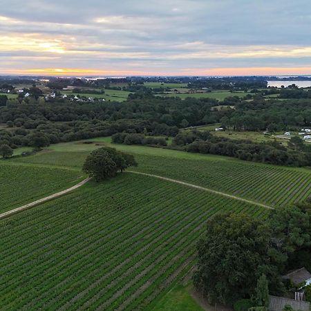 Gite -L'Appart- Au Vignoble Domaine Lamballe, Baden, Golfe Du Morbihan Bagian luar foto