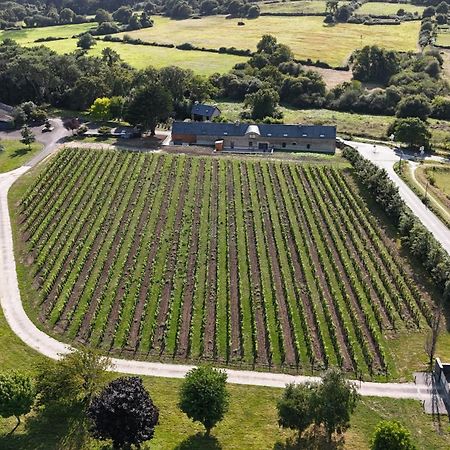 Gite -L'Appart- Au Vignoble Domaine Lamballe, Baden, Golfe Du Morbihan Bagian luar foto