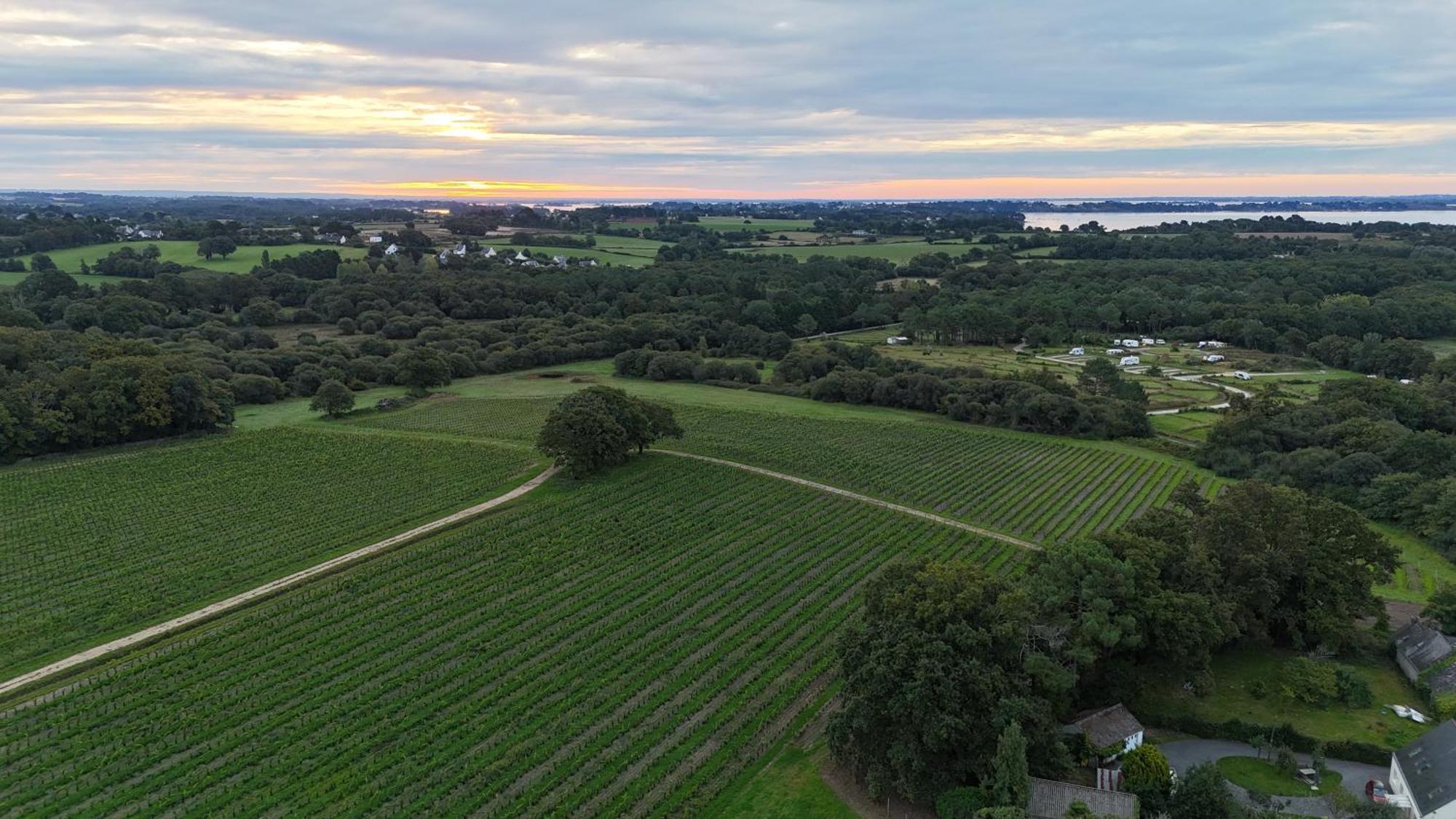 Gite -L'Appart- Au Vignoble Domaine Lamballe, Baden, Golfe Du Morbihan Bagian luar foto