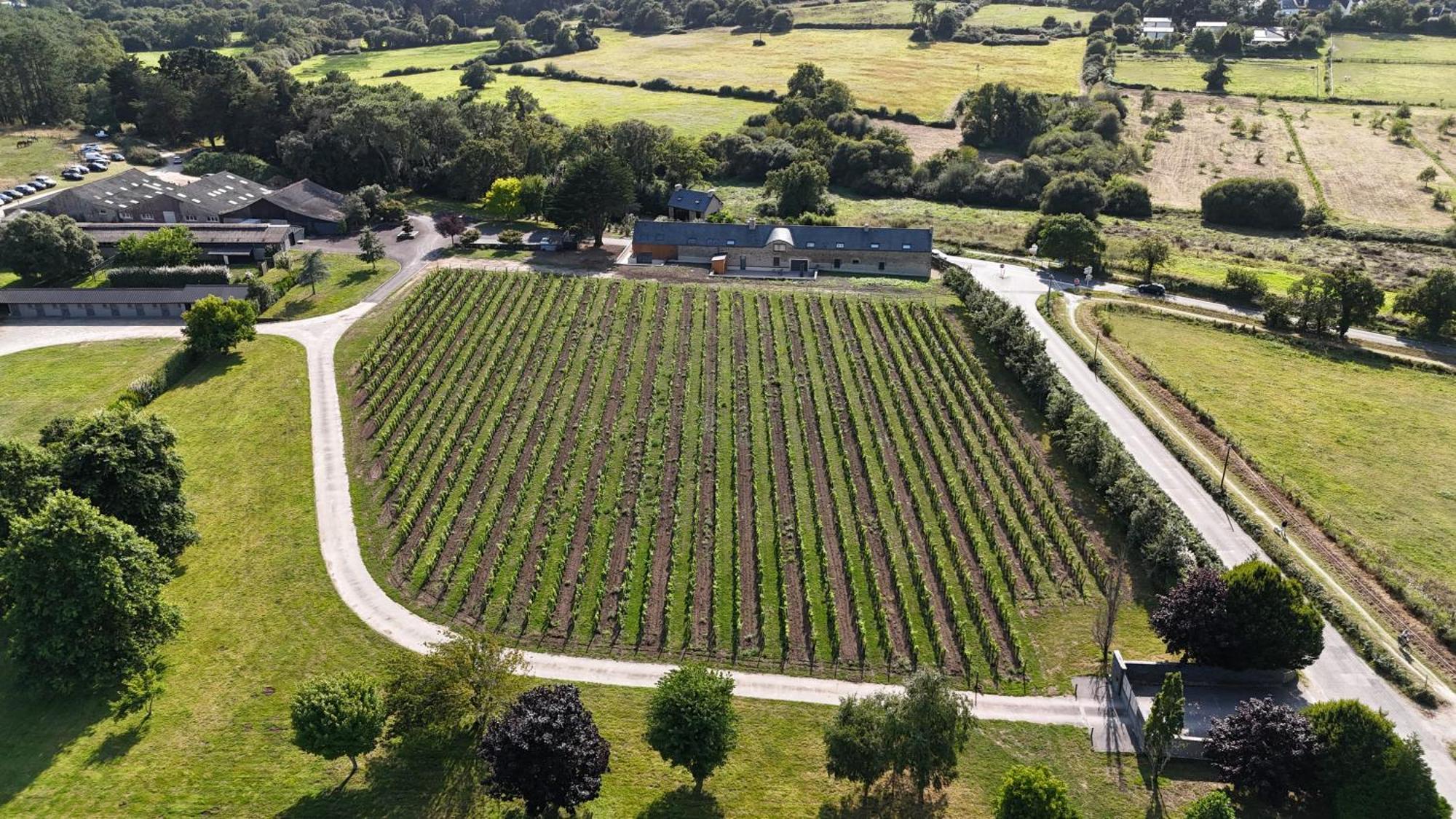 Gite -L'Appart- Au Vignoble Domaine Lamballe, Baden, Golfe Du Morbihan Bagian luar foto